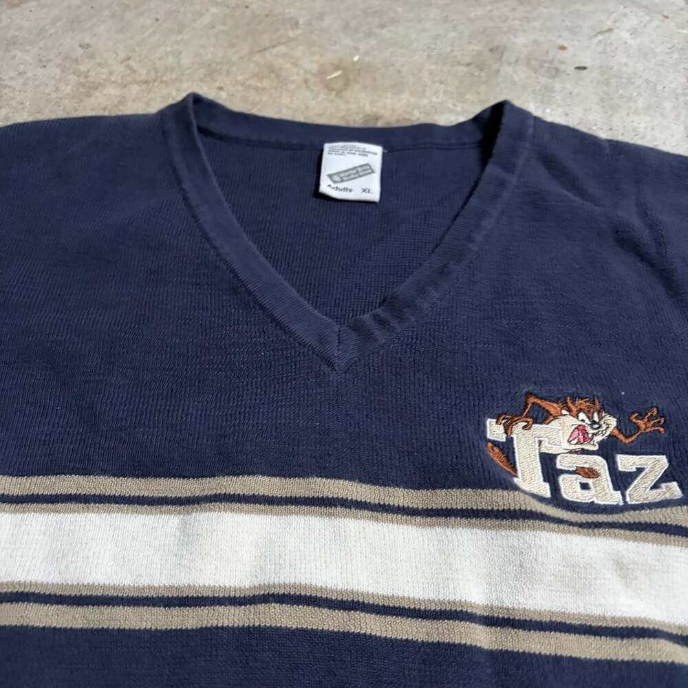 Vintage Warner Bros Studio Store Taz Tasmanian Devil V-Neck Sweater Vest Size XL
